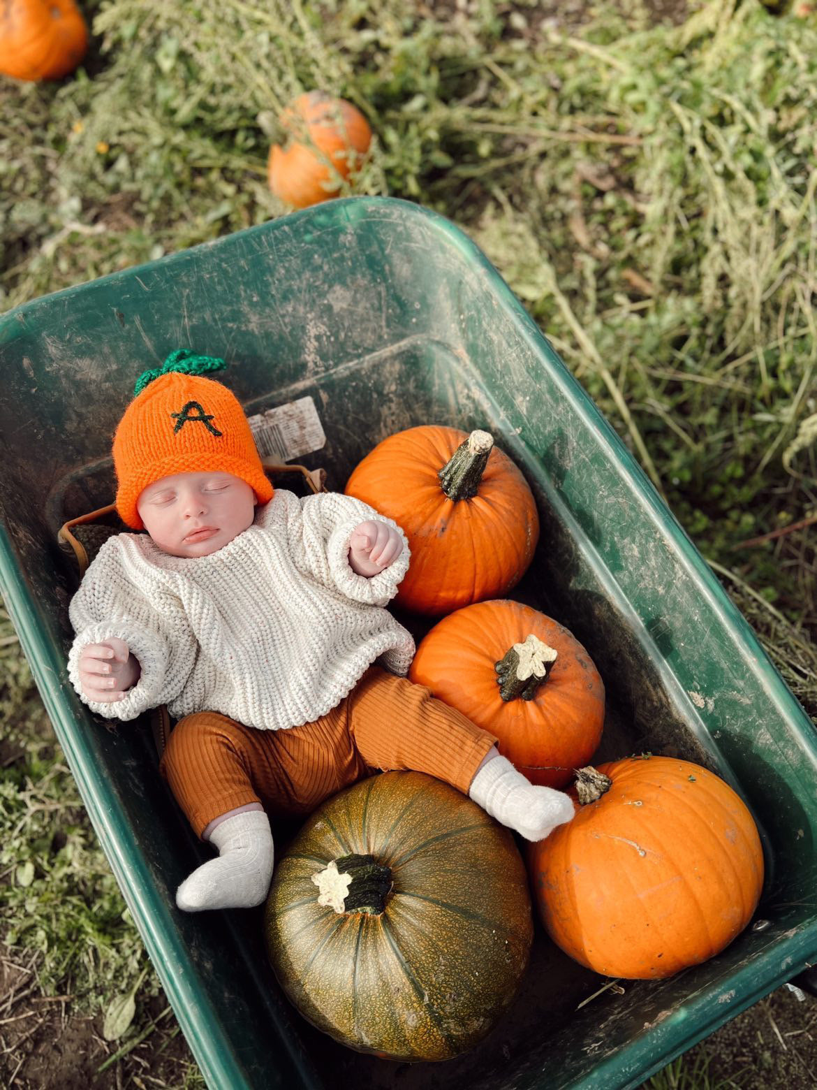 Pumpkin Hats